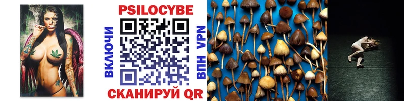 Галлюциногенные грибы MAGIC MUSHROOMS  Болгар 